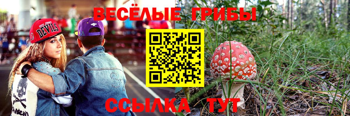 Ульяновск  Галлюциногенные грибы GOLDEN TEACHER  Вход с VPN 