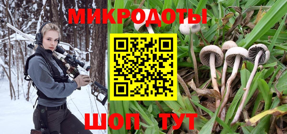 Галлюциногенные грибы мухоморы Ульяновск
